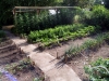 2-jims-soil-garden