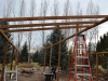 12 Installing Rafters1
