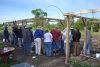 Garden - A-Frames