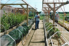 Troy_in_Mittleider_Garden-6-18_OH