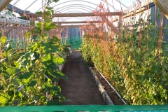 Vertical_Row_Shot_(20)