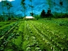 png-manure-compost3