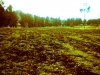 png-manure-compost5