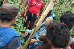 Jim demonstrating pruning okra