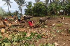 Taming the jungle