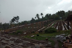 Rainy Day on Leyte 3 10 18