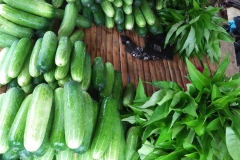 more daily harvest