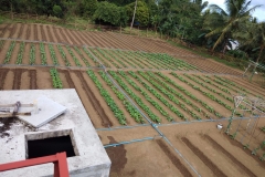 Water from river piped to storage tank and to the head of every bed