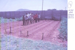 Crew preparing beds for planting
