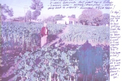Glenice with Rape harvest - Lesson learned!