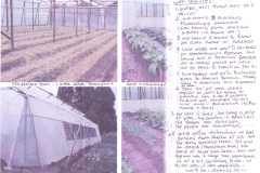 Greenhouse pics & progress report