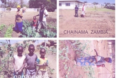 Chainama Zambia Gardens