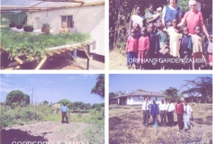 4 gardens in Zambia including Orphanage