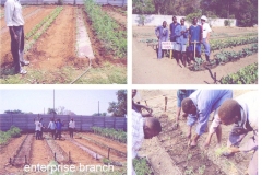 Dr. Howard Morgan with crew at Enterprise garden