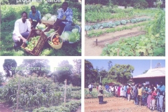 Enterprise & Prophet's gardens