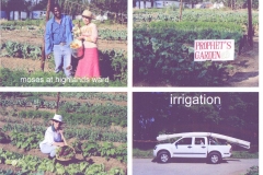 Glenice in gardens & irrigation pipes