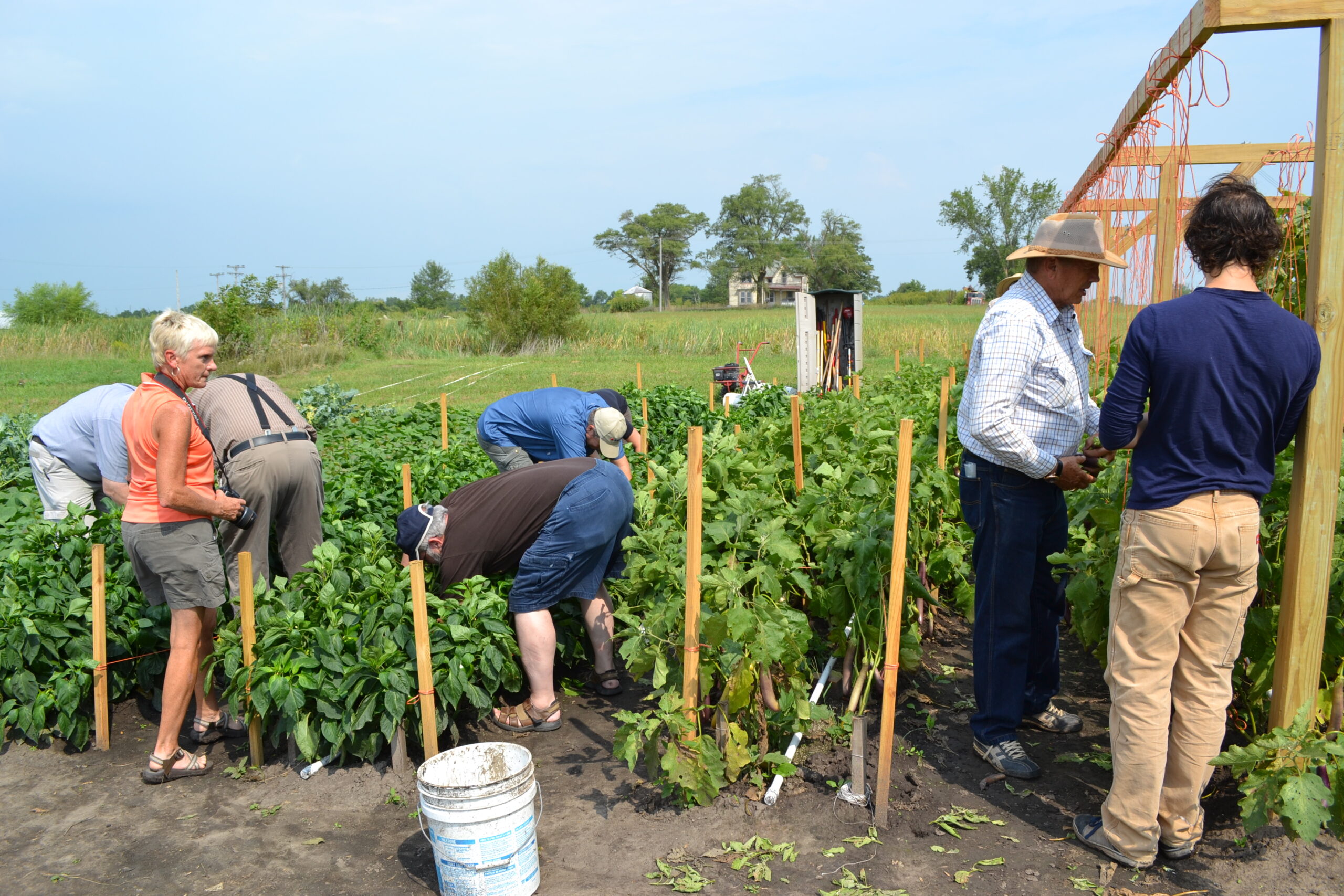 Mittleider Gardening Certification Training “Boot Camp” – April 13 - 19, 2025 - Image 3